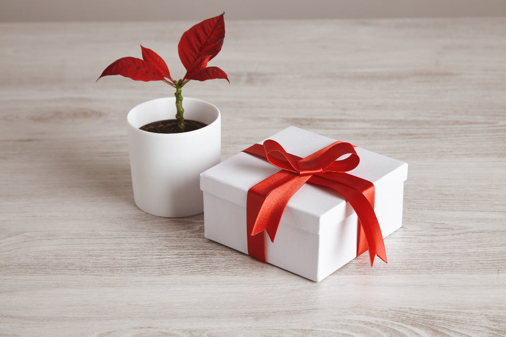 Top 10 Corporate Gift Ideas to Giveaway This New Year