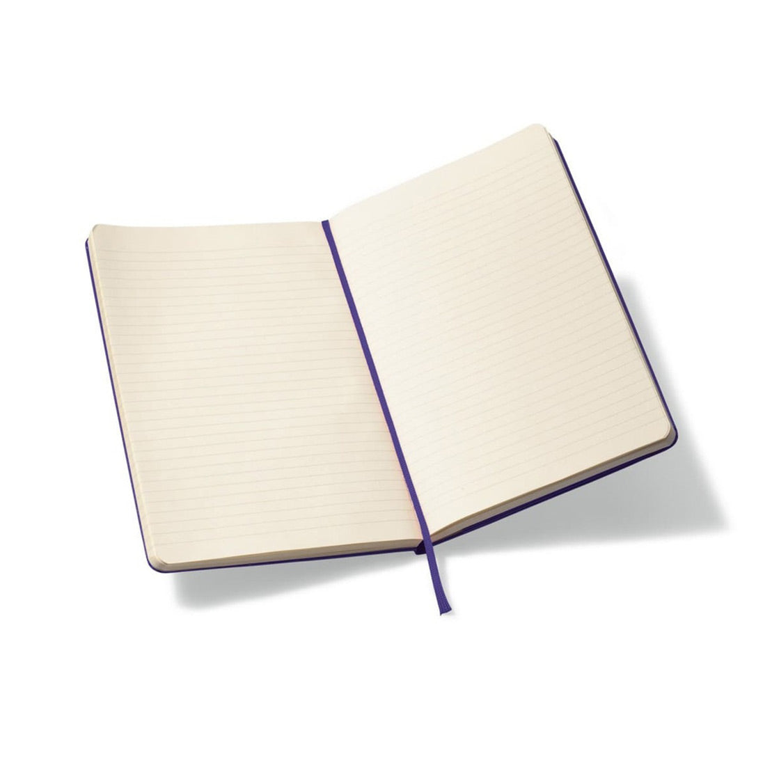 Moleskine Classic Hard Cover Large Ruled Notebook Brilliant Violet