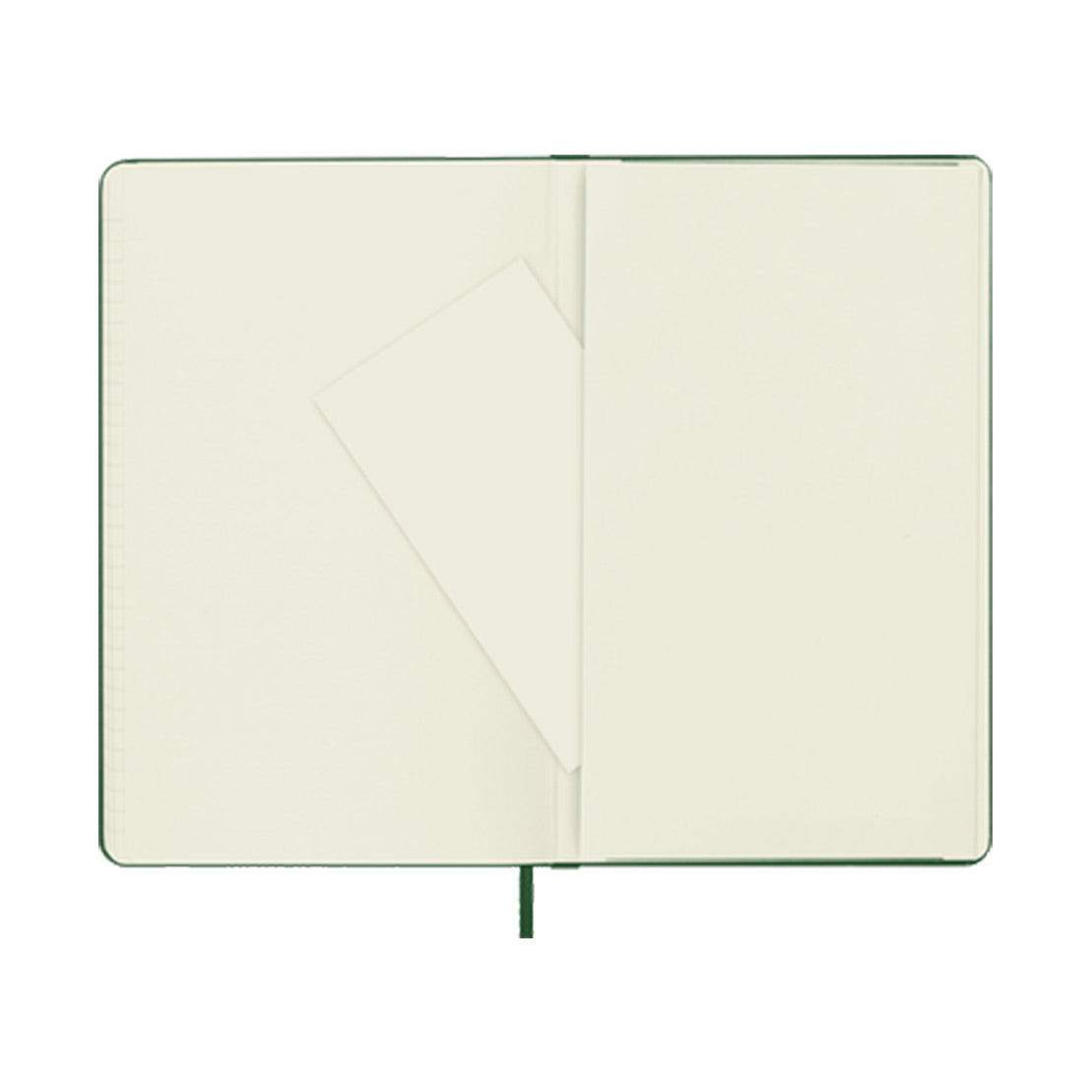 Moleskine Classic Large Ruled Hard Cover Notebook Myrtle Green